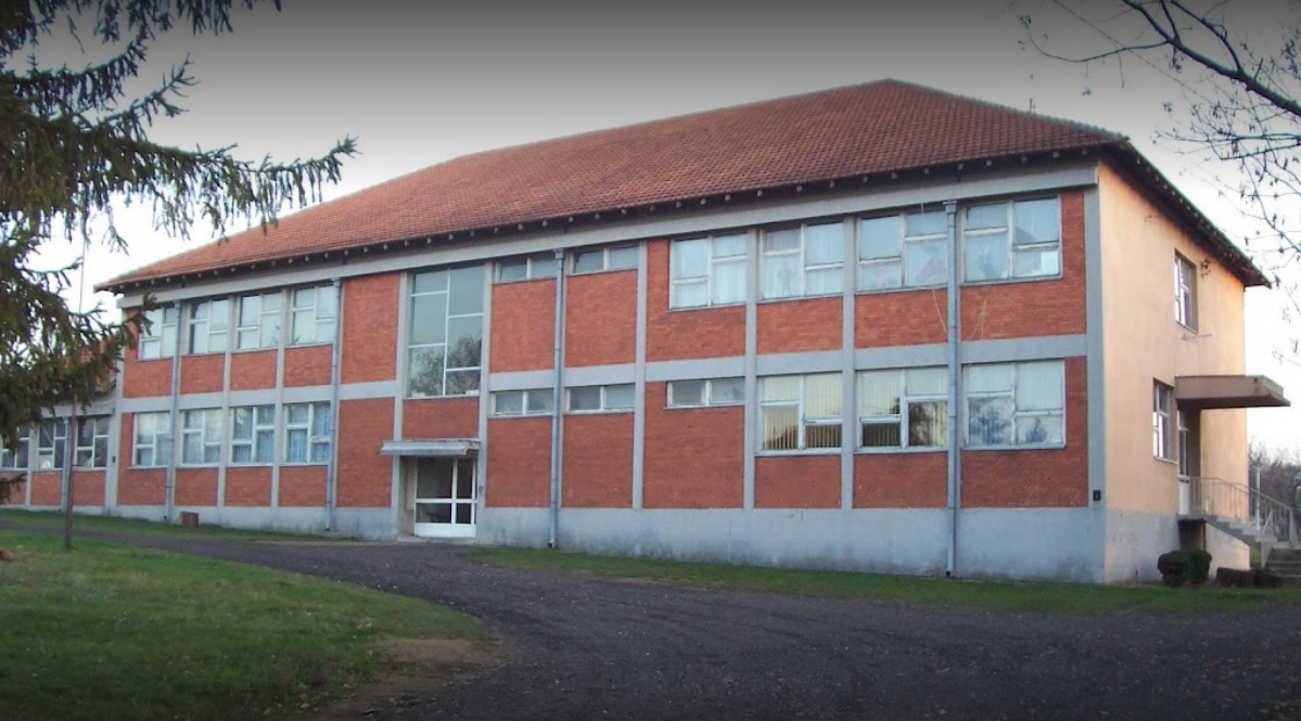 Educational group Vitosevac (at the Elementary School "Vuk Karadzic")